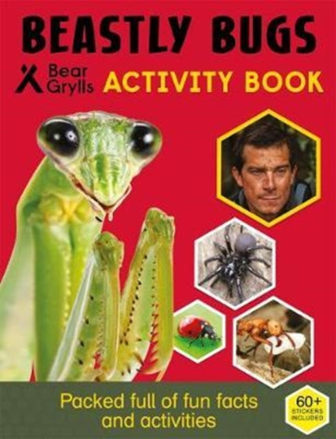 Bear Grylls Activity Series: Bugs - Bear Grylls