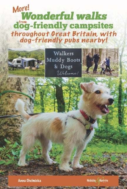 More wonderful walks from dog-friendly campsites throughout Great Britain ...