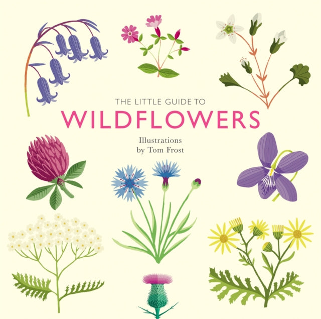 Little Guide to Wildflowers