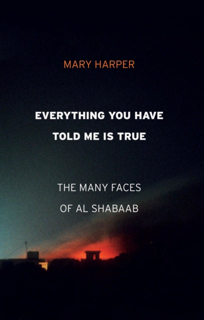 Everything You Have Told Me Is True - The Many Faces of Al Shabaab