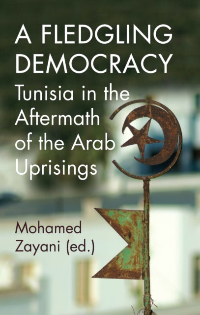 A Fledgling Democracy - Tunisia in the Aftermath of the Arab Uprisings