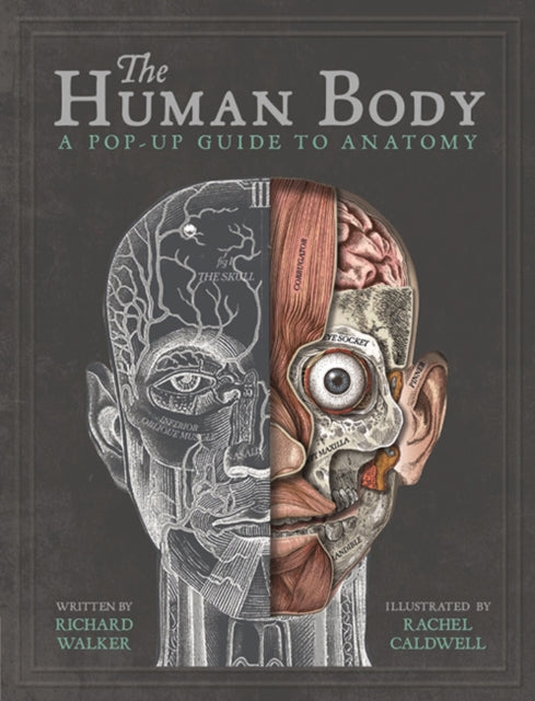 The Human Body - A Pop-Up Guide to Anatomy