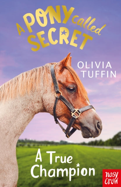 Pony Called Secret: A True Champion