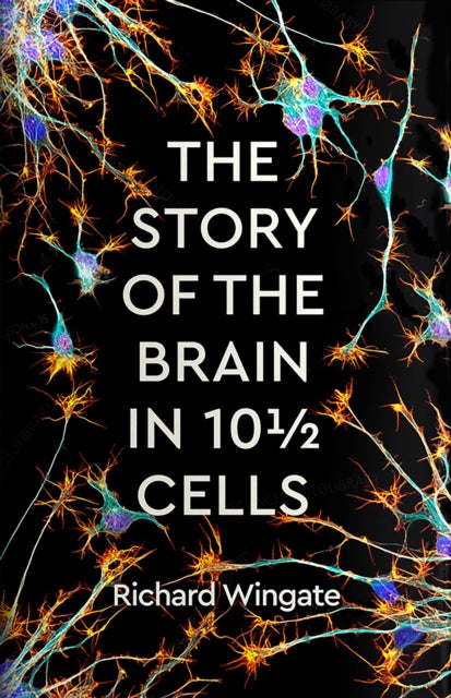 Story of the Brain in 10½ Cells