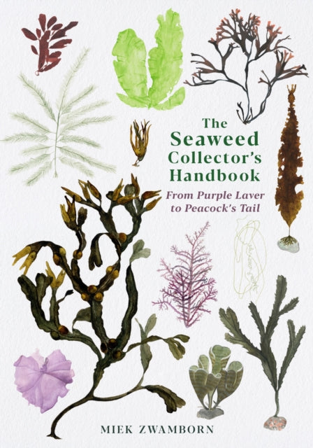 Seaweed Collector's Handbook