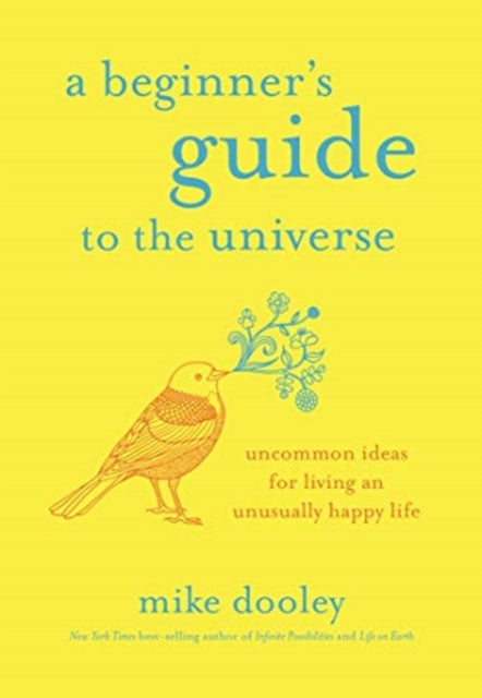 Beginner's Guide to the Universe