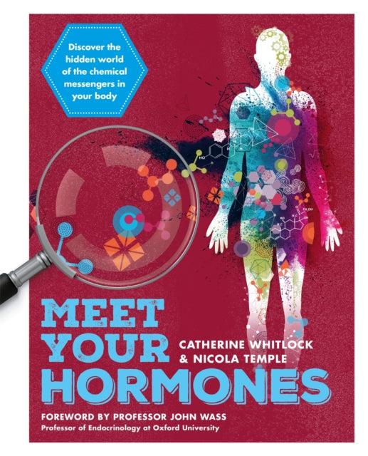 Meet Your Hormones