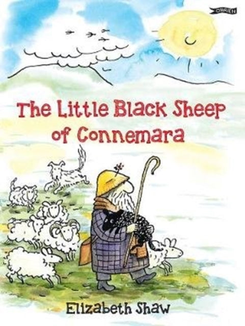 Little Black Sheep of Connemara