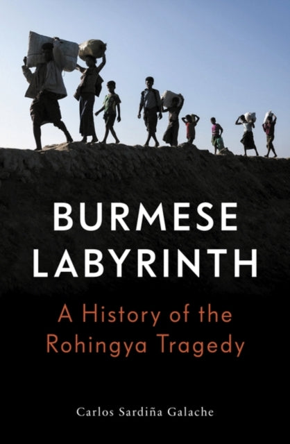 Burmese Labyrinth