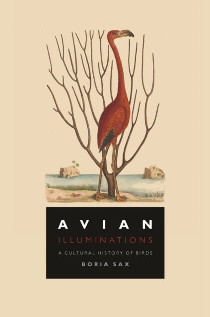 Avian Illuminations - A Cultural History of Birds