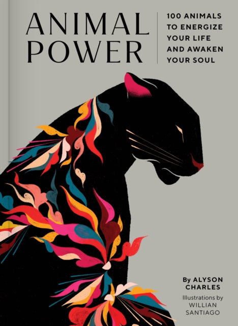 Animal Power - 100 Animals to Energize Your Life and Awaken Your Soul