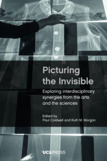 Picturing the Invisible - Exploring Interdisciplinary Synergies from the Arts and the Sciences