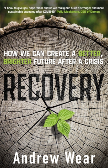 Recovery - How We Can Create a Better, Brighter Future after a Crisis