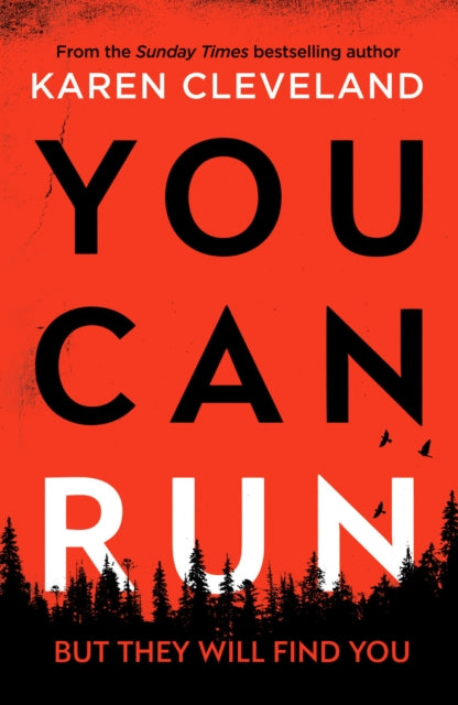 You Can Run - An unputdownable thriller