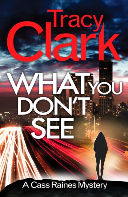 What You Don't See - A gripping private investigator series