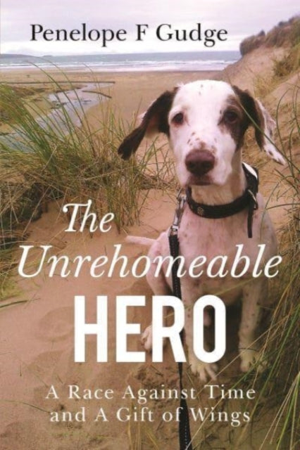 The Unrehomeable Hero, A Race Against Time & A Gift of Wings