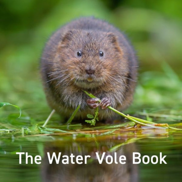 Water Vole Book