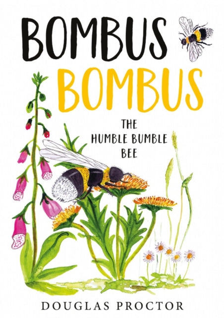 Bombus Bombus - The Humble Bumble Bee