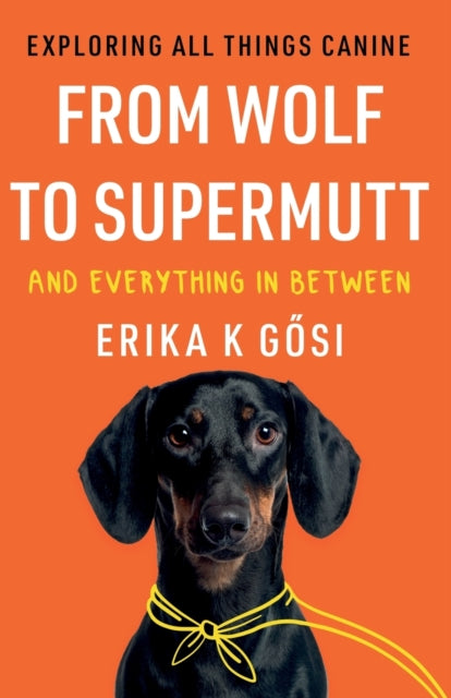 From Wolf to Supermutt and Everything In Between