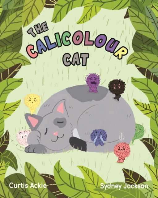 Calicolour Cat