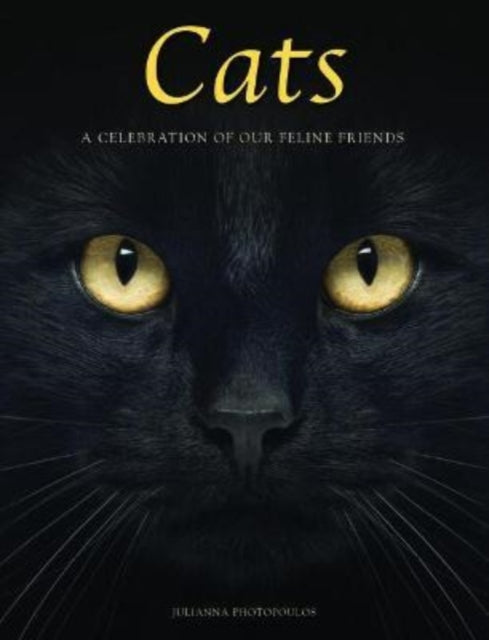 Cats - A Celebration of our Feline Friends