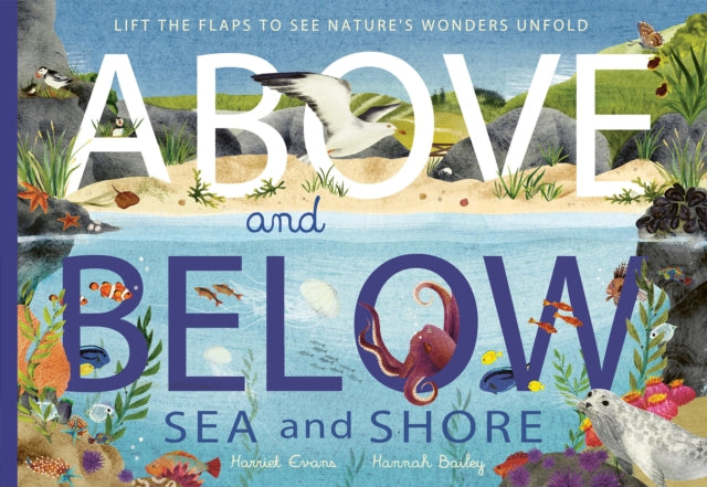 Above and Below: Sea and Shore - Lift the flaps to see nature's wonders unfold