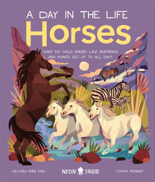 Horses (A Day in the Life)