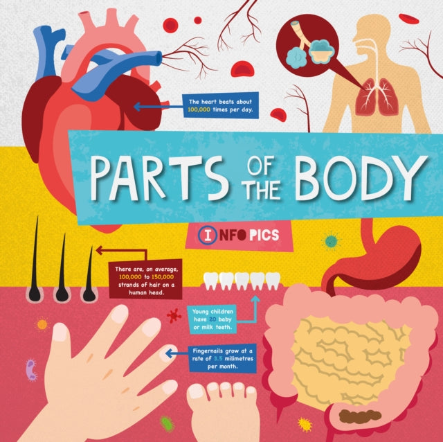 Parts of the Body