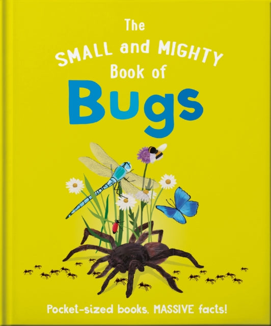 Small and Mighty Book of Bugs