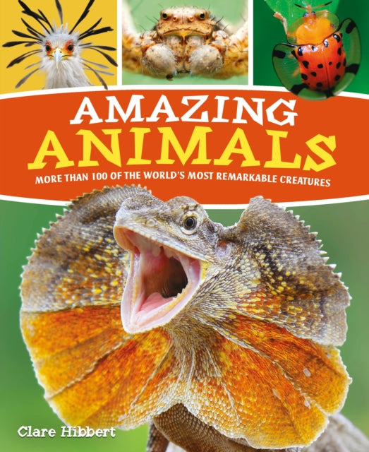 Amazing Animals