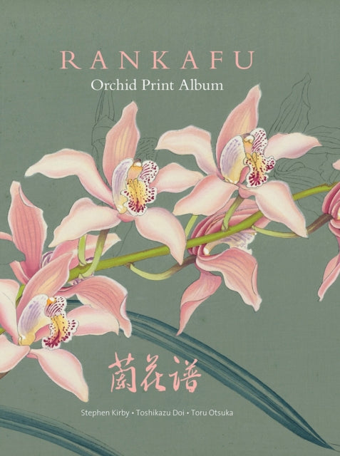Rankafu - Orchid Print Album