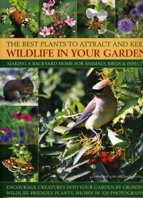 Best Plants to Attract and Keep Wildlife in the Garden