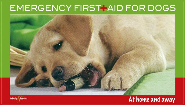 Emergency First Aid for Dogs