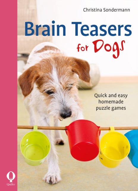 Brain teasers for dogs - Quick and easy homemade puzzle games