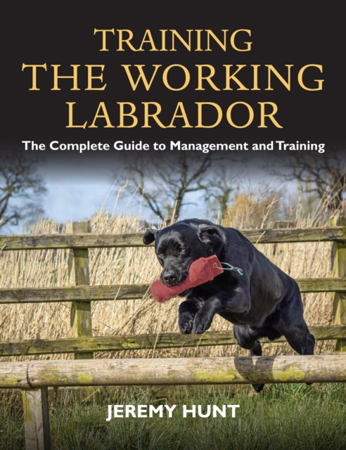 Training the Working Labrador