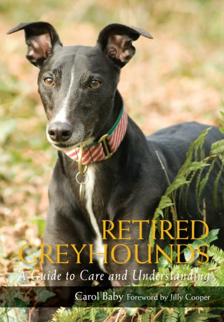 Retired Greyhounds