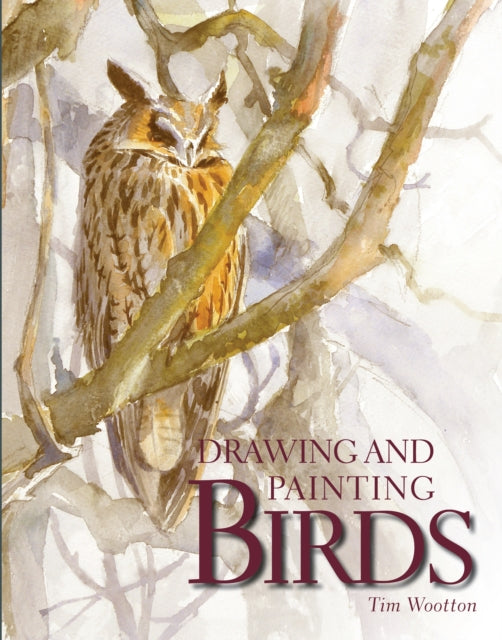 Drawing and Painting Birds