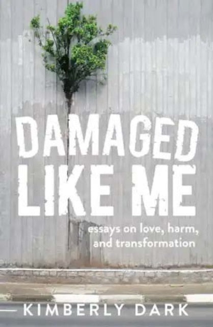 Damaged Like Me - Essays on Love, Harm and Transformation