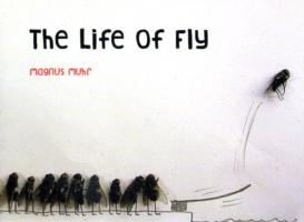 The Life of Fly