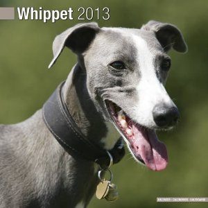 WHIPPET W 2013