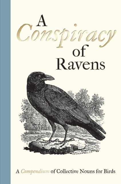 Conspiracy of Ravens