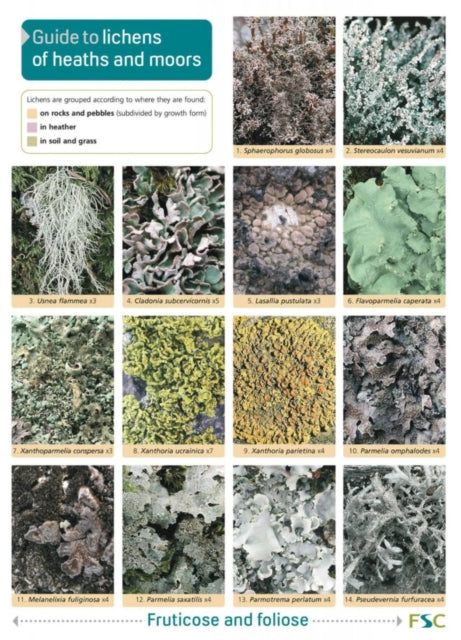 Guide to Lichens of Heaths and Moors