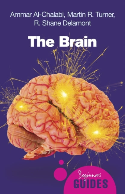 The Brain: A Beginner's Guide