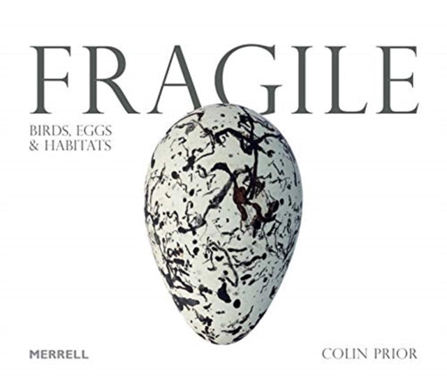 Fragile: Birds, Eggs & Habitats