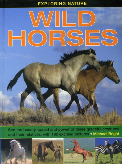 Wild Horses