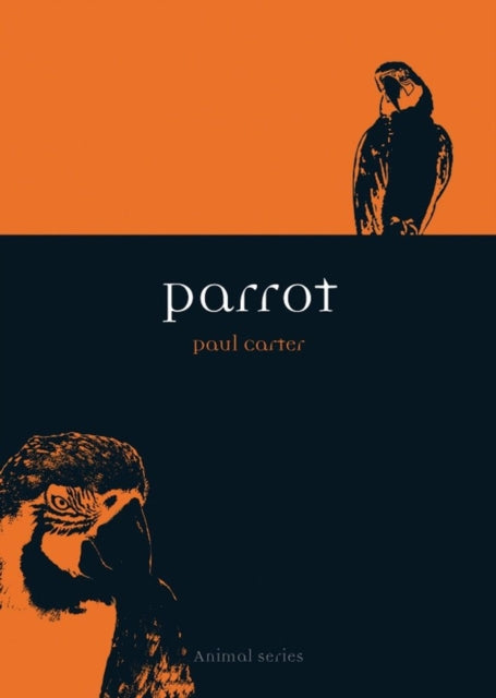 Parrot