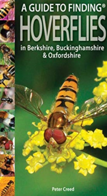 Guide to Finding Hoverflies in Berkshire, Buckinghamshire and Oxfordshire