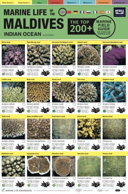 Maldives Marine Life Field Guide