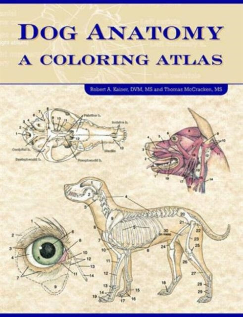 Dog Anatomy: A Coloring Atlas