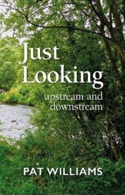 Just Looking - upstream and downstream